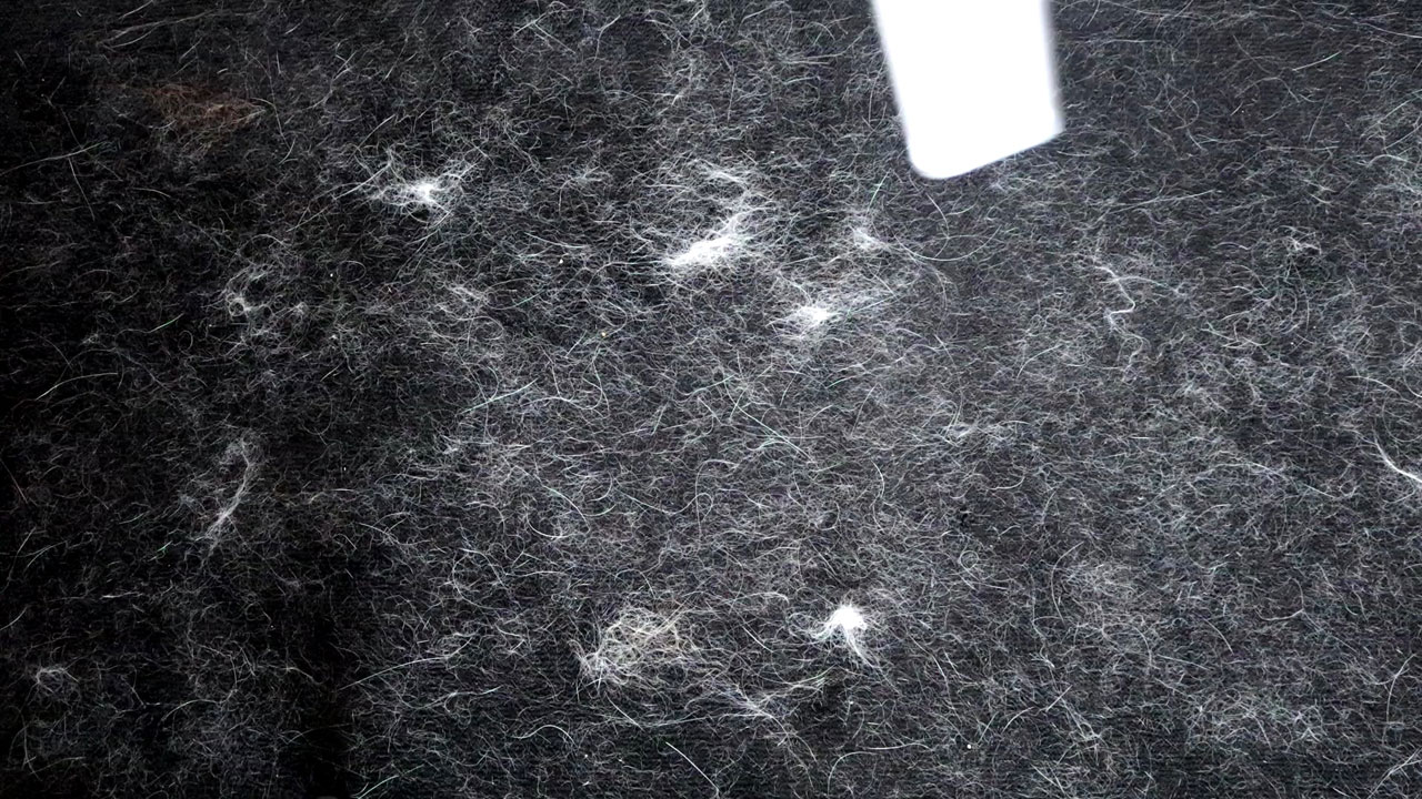猫の毛が絡みついたカーペットマット