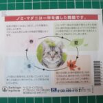 フロントライン プラス キャット(ノミ・マダニ問題)