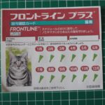 フロントライン プラス キャット(投与確認カード)