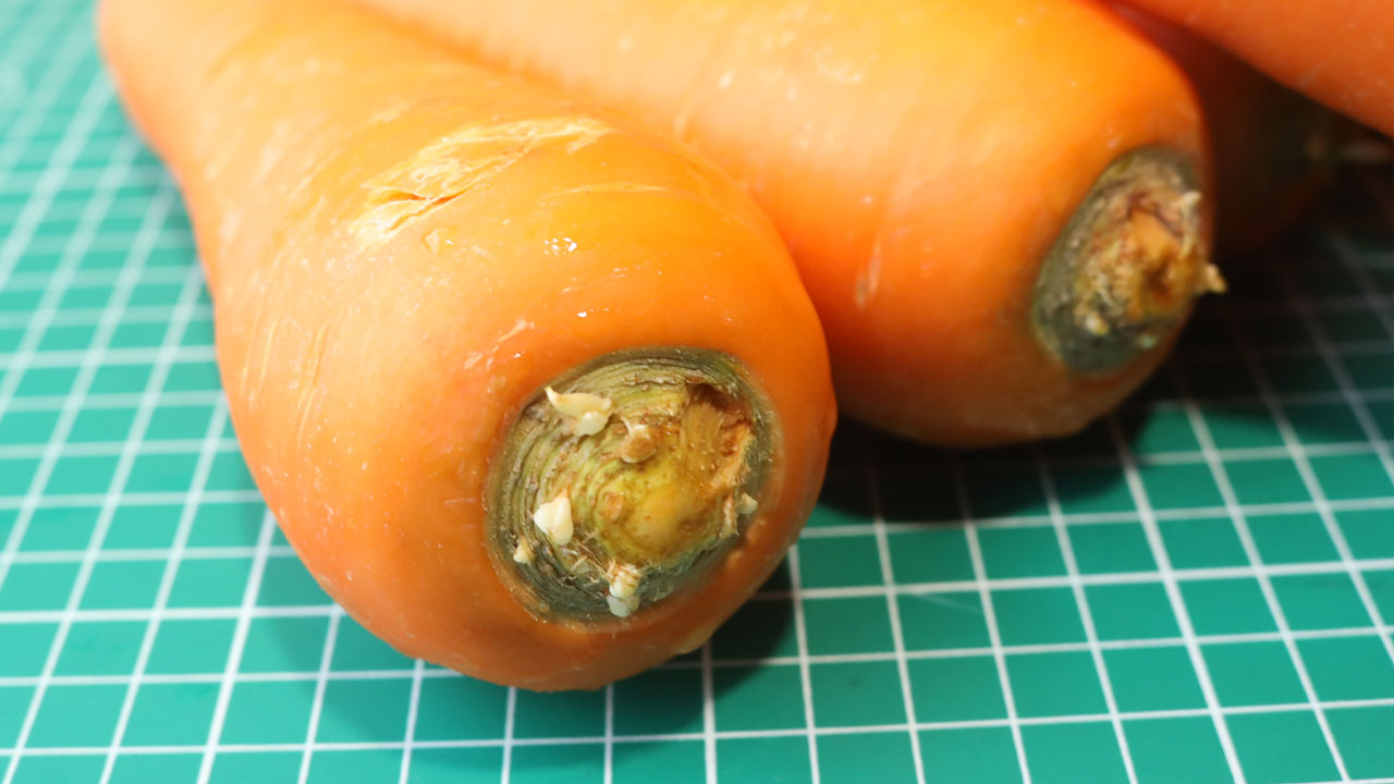 ジップロックで1ヶ月保存したにんじんのヘタ