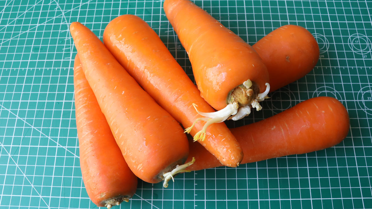 ジップロックで2ヶ月保存したにんじん-2